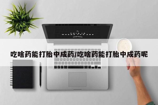 网上卖打胎药微信的联系方式吃啥药能打胎中成药/吃啥药能打胎中成药呢