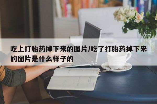 网上卖打胎药微信的联系方式吃上打胎药掉下来的图片/吃了打胎药掉下来的图片是什么样子的